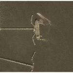 Maritime Insurance and Arbitration Asia enforce regional resilience and reduce dependence on Western oversight